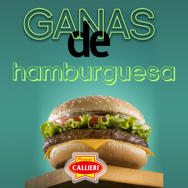 Condimento Integral para Hamburguesas - Imagen 2