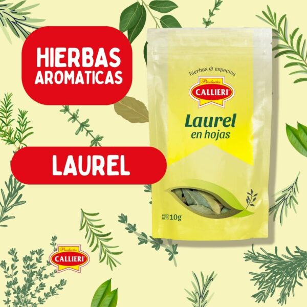 Laurel en Hoja - Imagen 2