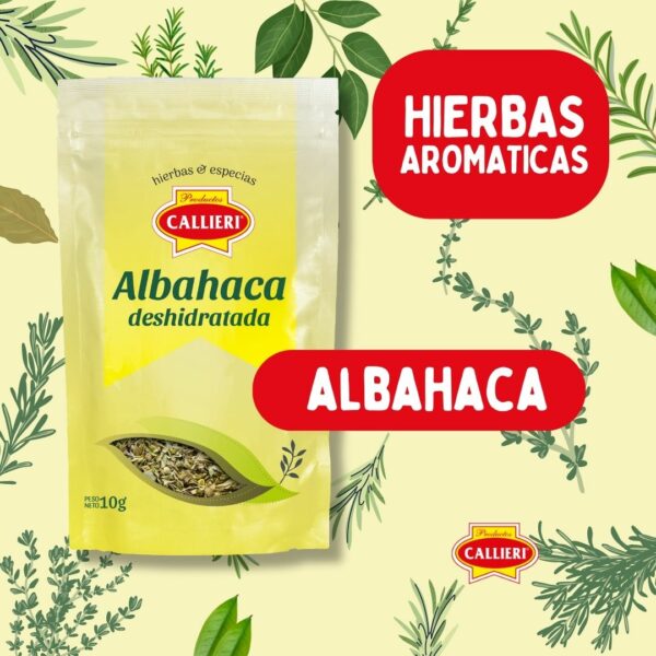 Albahaca Deshidratada - Imagen 2