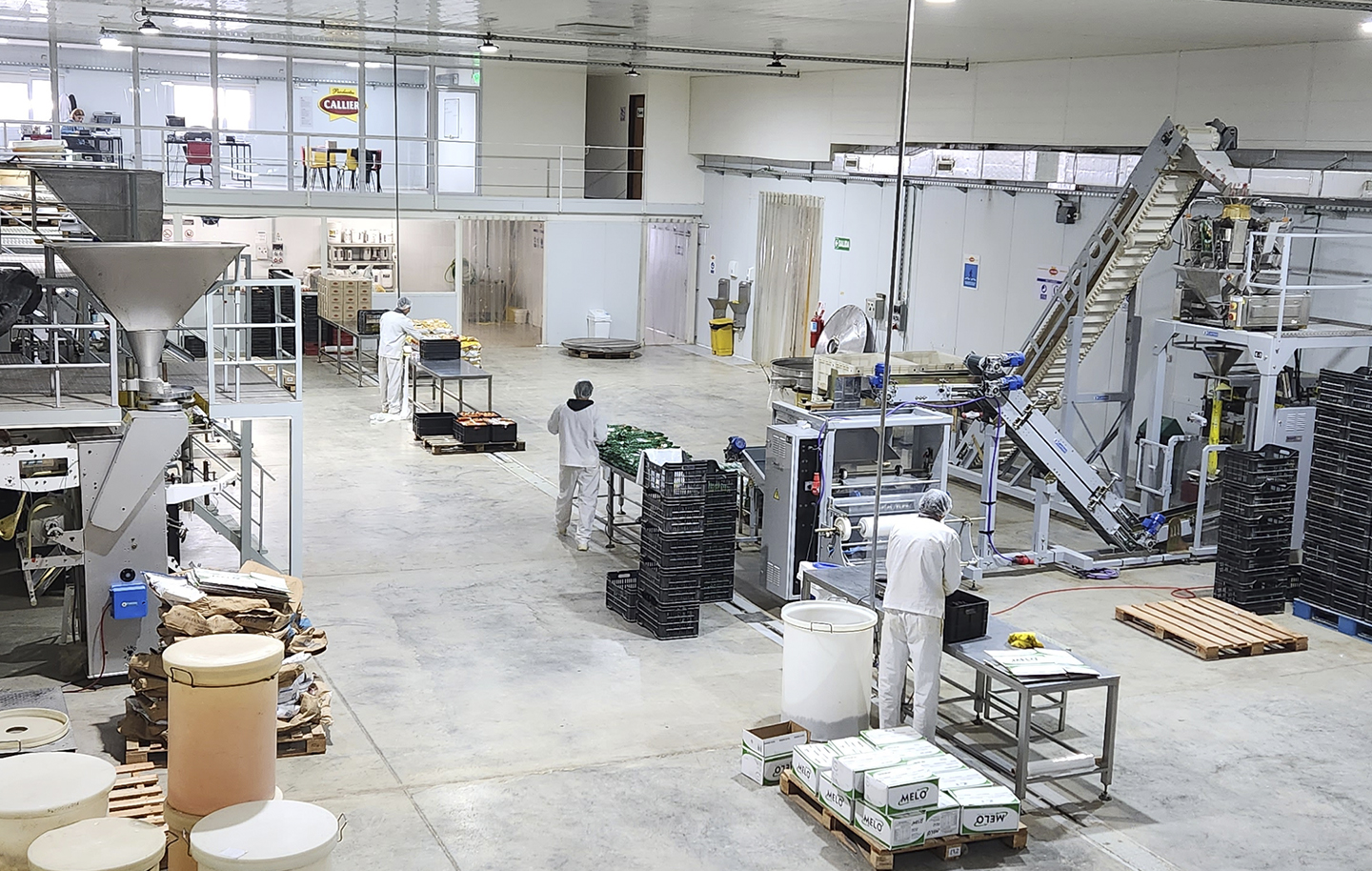 foto del interior de la planta Callieri producción y empaquetado de especias, condimentos y productos alimenticios
